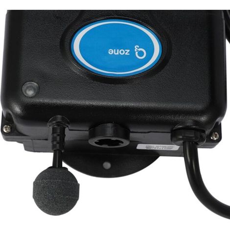 Générateur D'Ozone 220V 300mg/h Purificateur Eau Pour Baignoire Douche Spa Piscine Kit Remplacement