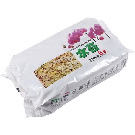 Mousse de Sphaigne décorative, lot de 6L, coloris variés, dimensions 20x11cm, substrat naturel pour plantes et terrariums. (1/5)
