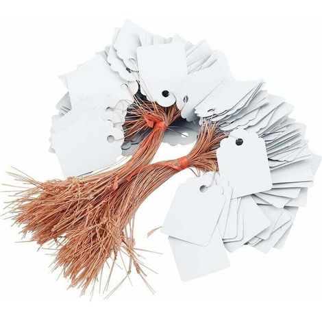 Lot de 200 étiquettes en PVC pour plantes suspendues - Étanche - Pour jardin d'enfants - 3,6 x 2,5 cm - Blanc (1/5)