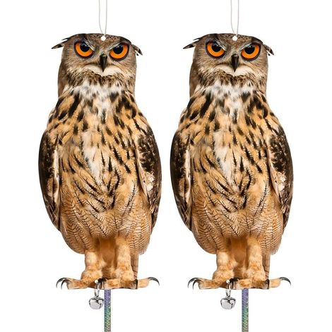 Set mit 2 künstlichen Eulen zur Vogelabwehr – Tauben- und Spechtscheuche fernhalten – ideal für Obstgärten und Gärten (1/4)