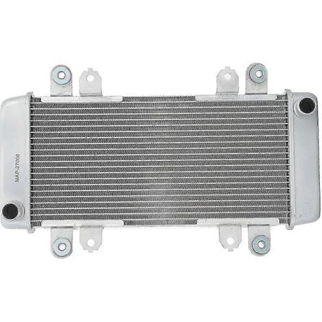 Réservoir d'eau de refroidissement de radiateur de moto en aluminium, remplacement pour NINJA 300 2013-2018, argent (1/4)