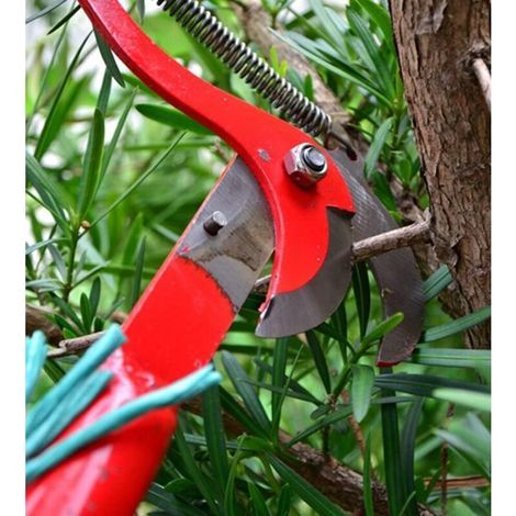 telescopique cueille-fruits télescopique ébrancheurs de jardinage coupe branche telescopique elagueuse sur perche scie d'élagage télescopique sécateu (1/3)