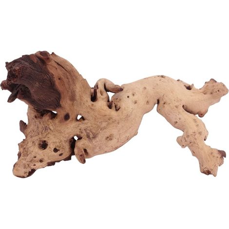 XL Mopani Wurzel Nr.4653 Holz Deko Aquascaping