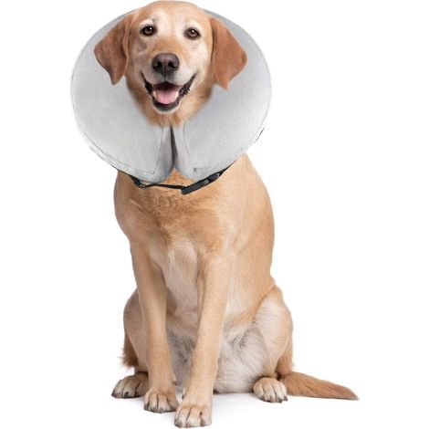 Collier de protection gonflable confortable pour chiens et chats, ajustable et lavable PS005 XL Gris