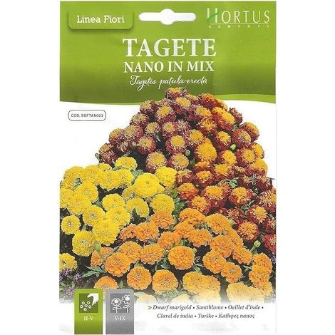 Tagete Nano mix DB