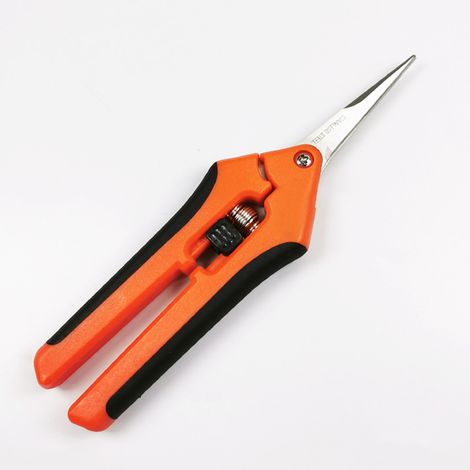 Cisailles de jardin manuelles professionnelles en acier inoxydable G85