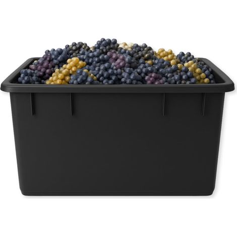 Contenitore rettangolare da 250 Litri in plastica color Nero - mis. 94x63x57 cm - Mastellone impilabile multiuso (1/5)
