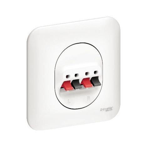 Schneider Electric – Prise haut parleur 2 sorties blanche – Plaque de fixation avec vis/griffes – Autre type de prise complète