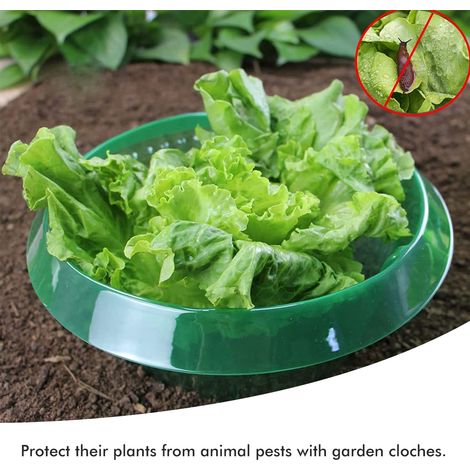 Collier anti-escargots/protecteur pour protéger les plantes des dégâts causés par les animaux (1/5)