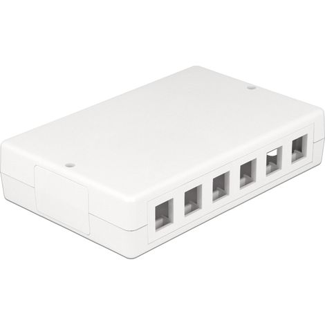 Delock keystone surface mounted box 12 port