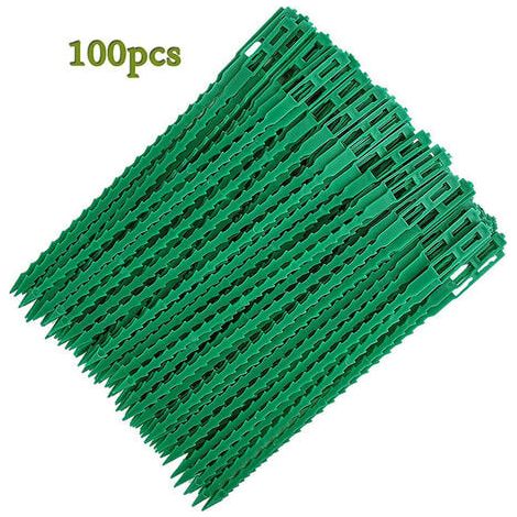 Attaches réglables pour plantes lot de 100 - Liens de serrage en plastique pour jardin - Serre câbles réutilisables pour plantes vertes et arbustes,13cm (1/4)