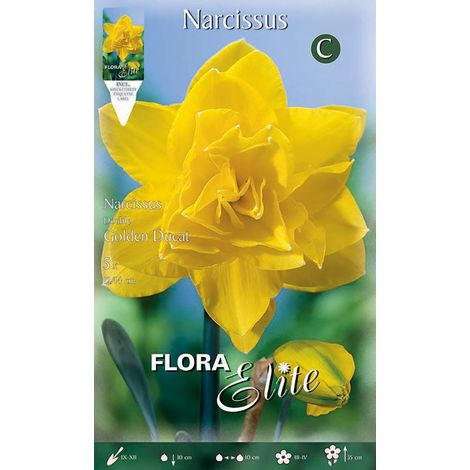 BULBI AUTUNNALI NARCISO DOUBLE GOLDEN DUCAT CONFEZIONE DA 5 BULBI BULBS BULBES