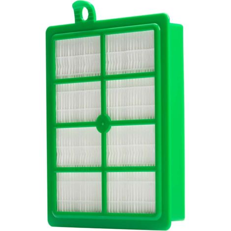 Filtre HEPA lavable pour Electrolux/Boldio/Excellio/OXYGEN EFH12 Electrolux (1/5)