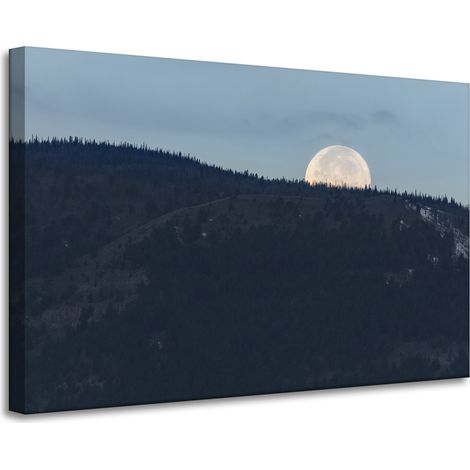 Leinwanddruck Natur Aufgehender Mond 90x60
