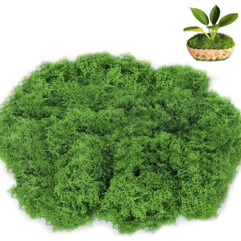 Mousse 200g, mousse artificielle, décoration en mousse, plantes artificielles pour pots de fleurs, jardins et pelouses(vert foncé) (1/5)