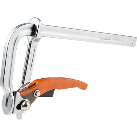 Verrouillage à vis RS PRO, 250mm x 120mm ( Prix pour 1 ) (1/2)