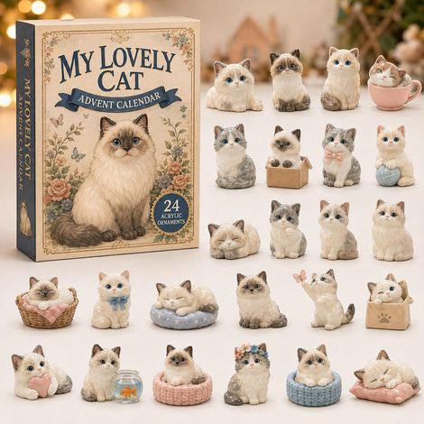 Chat Ragdoll calendrier avent 2026 2D boîte surprise