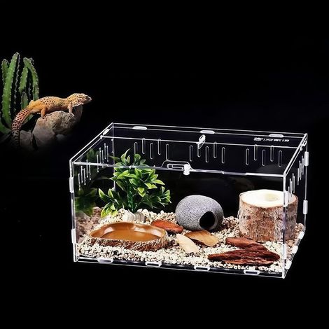 Acryl-Terrarium – 30 x 20 x 15 cm – Seitliche und obere Belüftung – Für Reptilien und Amphibien – 1 Stück (1/5)