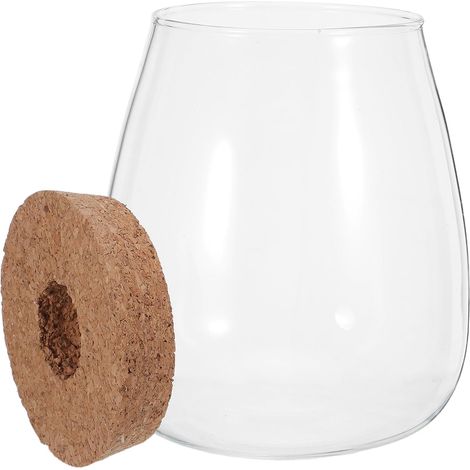 2 Stück Glassvasen zur Pflanzenvermehrung mit Holz