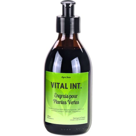 Vital Int. Plantes Vertes - Engrais pour plantes vertes d'intérieur - 500 ml (1/5)