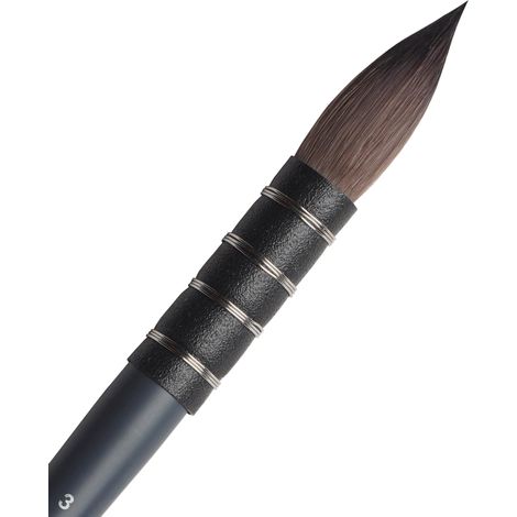 Winsor & Newton 5011503 Pennello professionale sintetico a scoiattolo per acquerello n. 3 (1/5)