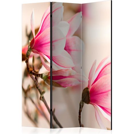 Paravento - Branch of magnolia tree [Room Dividers] - 135x172 (1/4)
