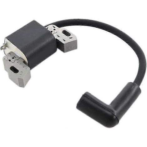 Bobine d'allumage avec bougie pour tondeuses à gazon Briggs & Stratton (1/5)