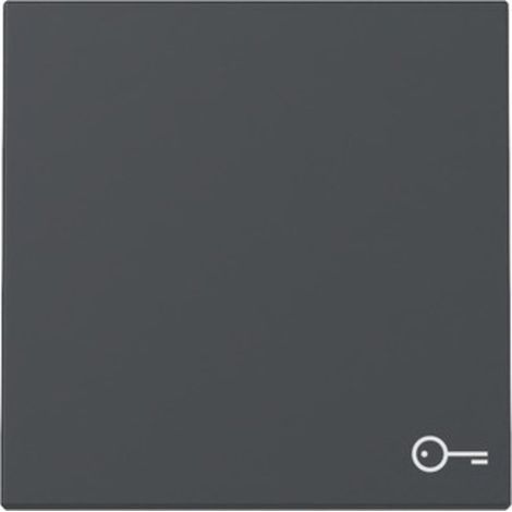 Schalter Gira 328728 Kunststoff modern Anthrazit