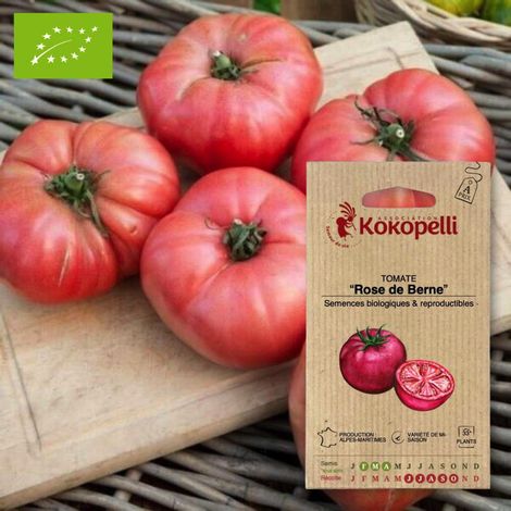 Tomate Rose de Berne