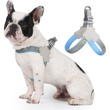 1 harnais anti-traction, maille réfléchissante, rembourré, à enfiler, réglable, pour chien et chiot (1/5)