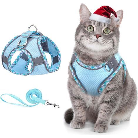 Harnais Chat Anti Évasion Ensemble, Harnais Ajustable pour Chaton avec Bande Réfléchissante, Filet Respirant, Gilet de Sécurité Souple pour Chat, Chaton, Chiot, XXS, Bleu (1/5)
