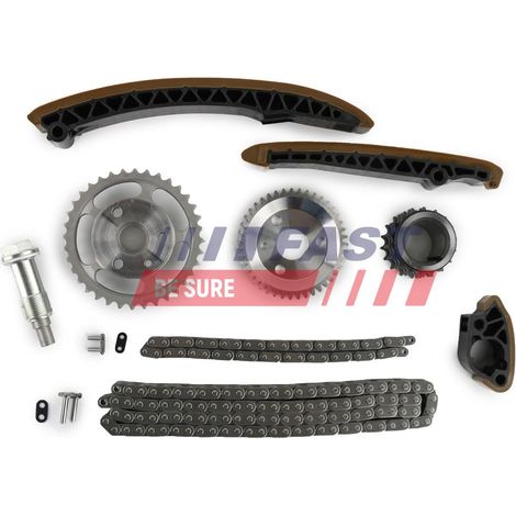 Catena di distribuzione FT41908 veloce