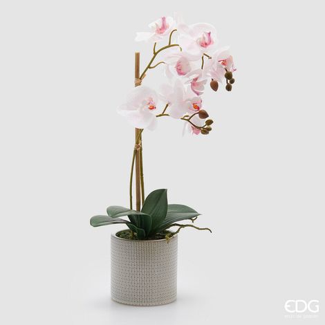 EDG Enzo De Gasperi Orchidea Phalaenopsis x2 con Foglie e Vaso H 51 Cm Pianta Artificiale Rosa Chiaro