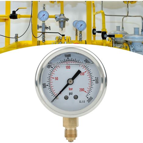Manomètre radial Y60 1/4 BSP filetage, 200 bars, pour mesure de pression domestique PGG604 (1/5)