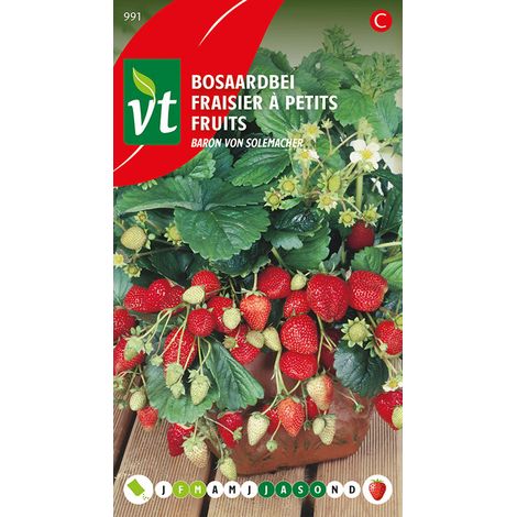 Fraisier à petits fruits Baron von Solemacher - Ca. 0,3 gr