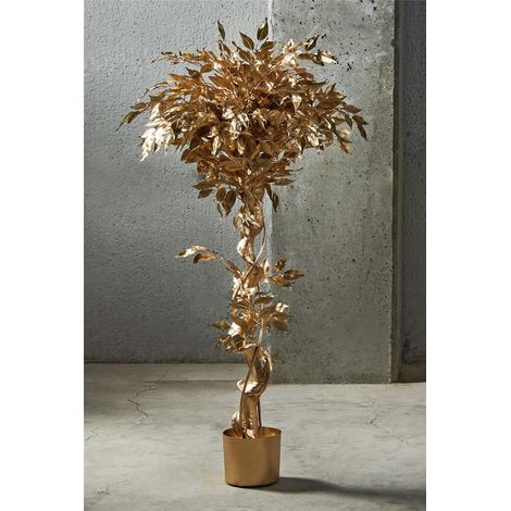 Plante Ficus Benjamin Gold 135 cm. 78 x 135 cm (1/3)