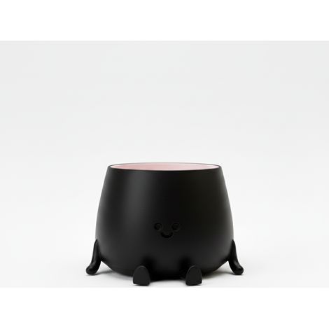 Pot de fleurs décoratif souriant, noir, pour plantes, design moderne (1/3)