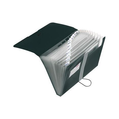 Fächermappe easy orga to go DIN A4 Polypropylen schwarz 12 Fächer (1/3)