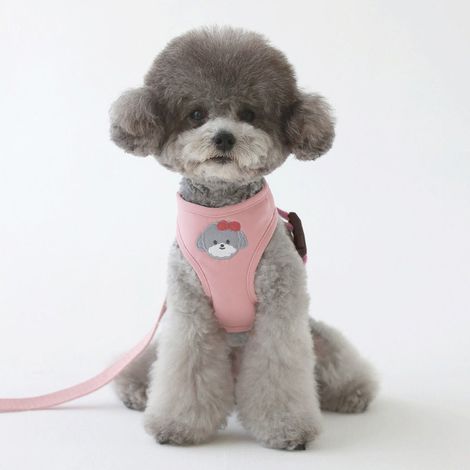 Filiyano-Harnais de poitrine pour animaux de compagnie, harnais pour chien style gilet, laisse pour petit chien rose (1/5)