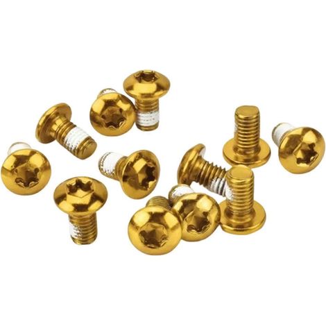 12 Torx T25 M5x10mm Edelstahlschrauben für Bremsscheiben von Rennrädern und Mountainbikes - Fahrradzubehör (1/5)