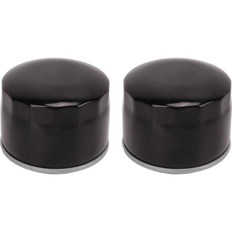 Filtre de Pompe à Huile Aramox, 2 Pièces Filtre à Huile Am125424 Filtre à Huile pour Lx 288 La 130 135 Stx 38 46 Lt 133 Ltr 155 (1/5)