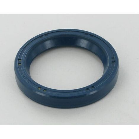 Guarnizione F03010080R MASCHIO F03010080R (1/2)