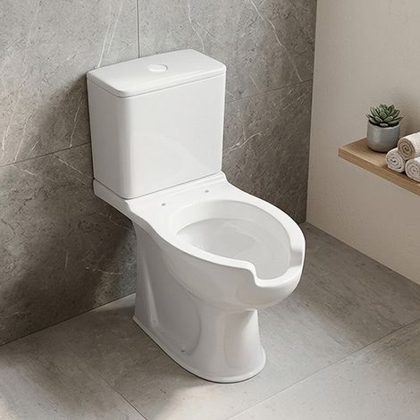 Wc per disabili monoblocco H50 cm con apertura frontale e scarico universale (1/5)