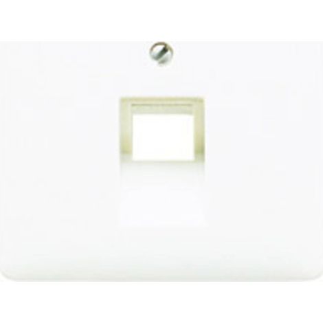 Jung Cache pour boîtes de connexion IAE/UAE, 1 x 8 pôles, thermoplastique, série CD, blanc alpin CD 569-1 UA WW (1/2)