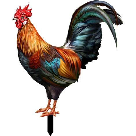 Sollbry Estatua de gallo, escultura de pollo, figuras acrílicas, decoración de jardín, adornos para patio, granja, exterior (1/5)