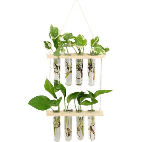 Vase Original - Étui pour Fleurs en Verre Borosilicate et Bois avec 8 Test Tubes (23x16x5 cm) - Transparent (1/5)