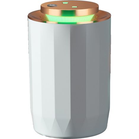 Humidificateurs pour bureaux et plantes, y compris un mini modèle à double flux d'air et double alimentation. (1/4)
