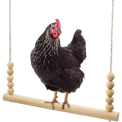 Balançoire jouet pour poules, balançoire suspendue en bois naturel avec perles polies, support de repos pour poulailler, accessoire pour enclos à volailles, coqs, poules, poussins et perroquets de com (1/5)