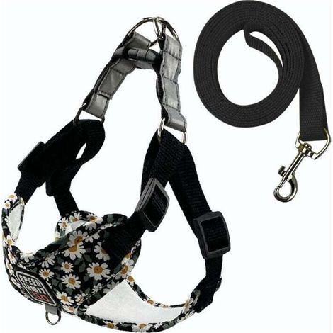 Fournitures pour animaux de compagnie Laisse respirante pour chien Laisse imprimée pour chien de promenade pour chien de petite et moyenne taille Nouveau harnais pour animaux de compagnie en gros (1/3)