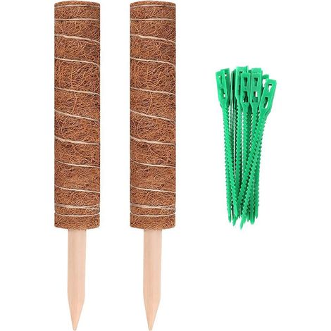 2 Piquets de Mousse Empilables pour Plantes Fromagères, Lot de 2 Tiges Végétales avec 20 Attaches de Câble pour Étendre les Lianes de Monstera et Pothos (1/5)